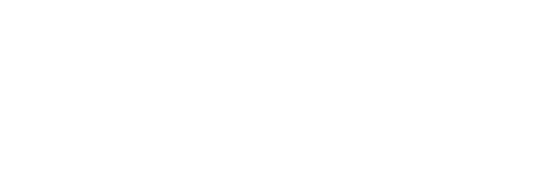 Camelot Strategic Marketing & Media Logo